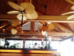 Quạt trần phong cách nhiệt đới