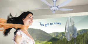 Những lợi ích của quạt trần